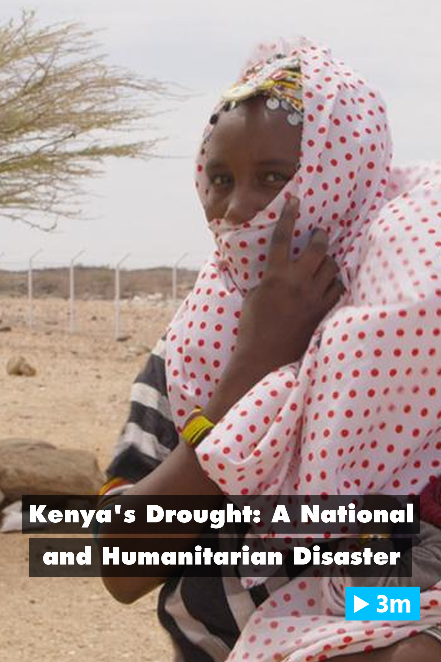 Kenya's drought: A national and humanitarian disaster