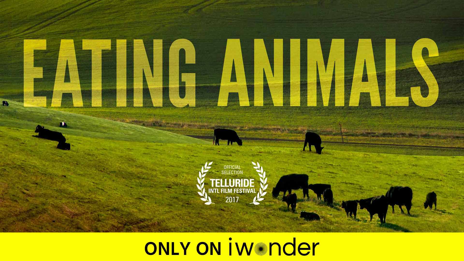 Watch Eating Animals - Streaming Online | iwonder (Free Trial)