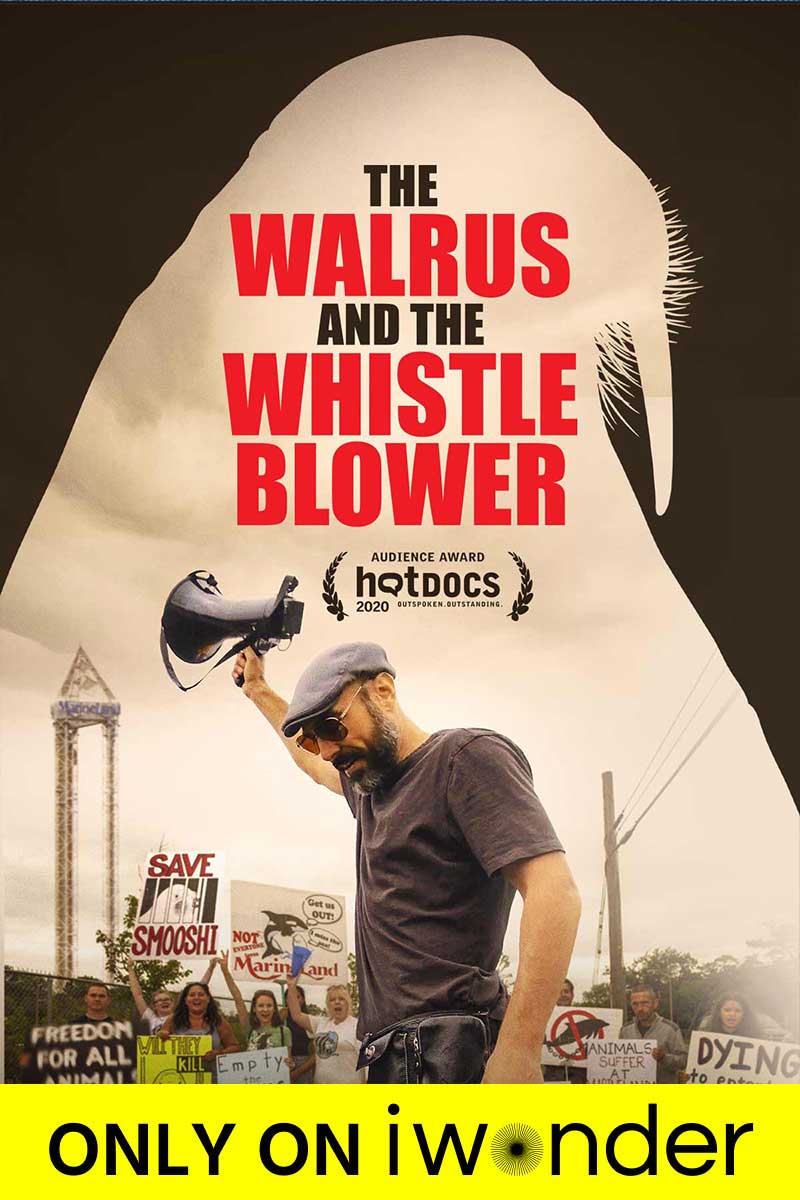 The Walrus and The Whistleblower