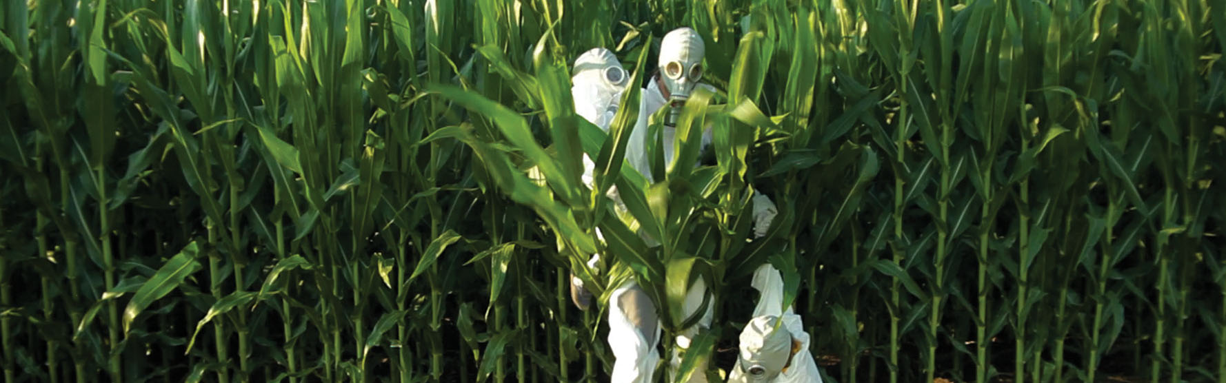GMO OMG