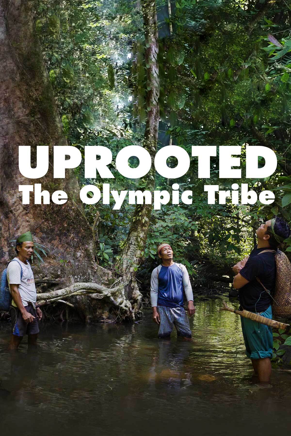 Uprooted: The Olympic Tribe