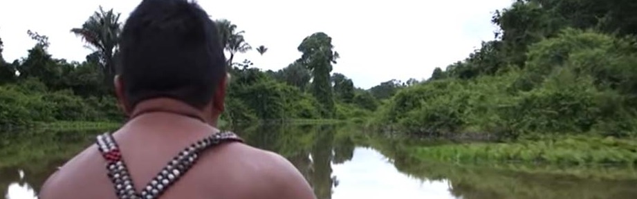 Brazil's President Vs The Amazon