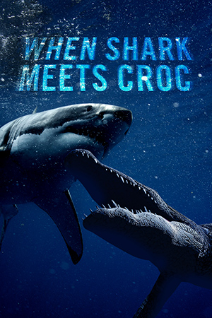 When Shark Meets Croc