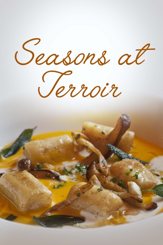 Seasons at Terroir