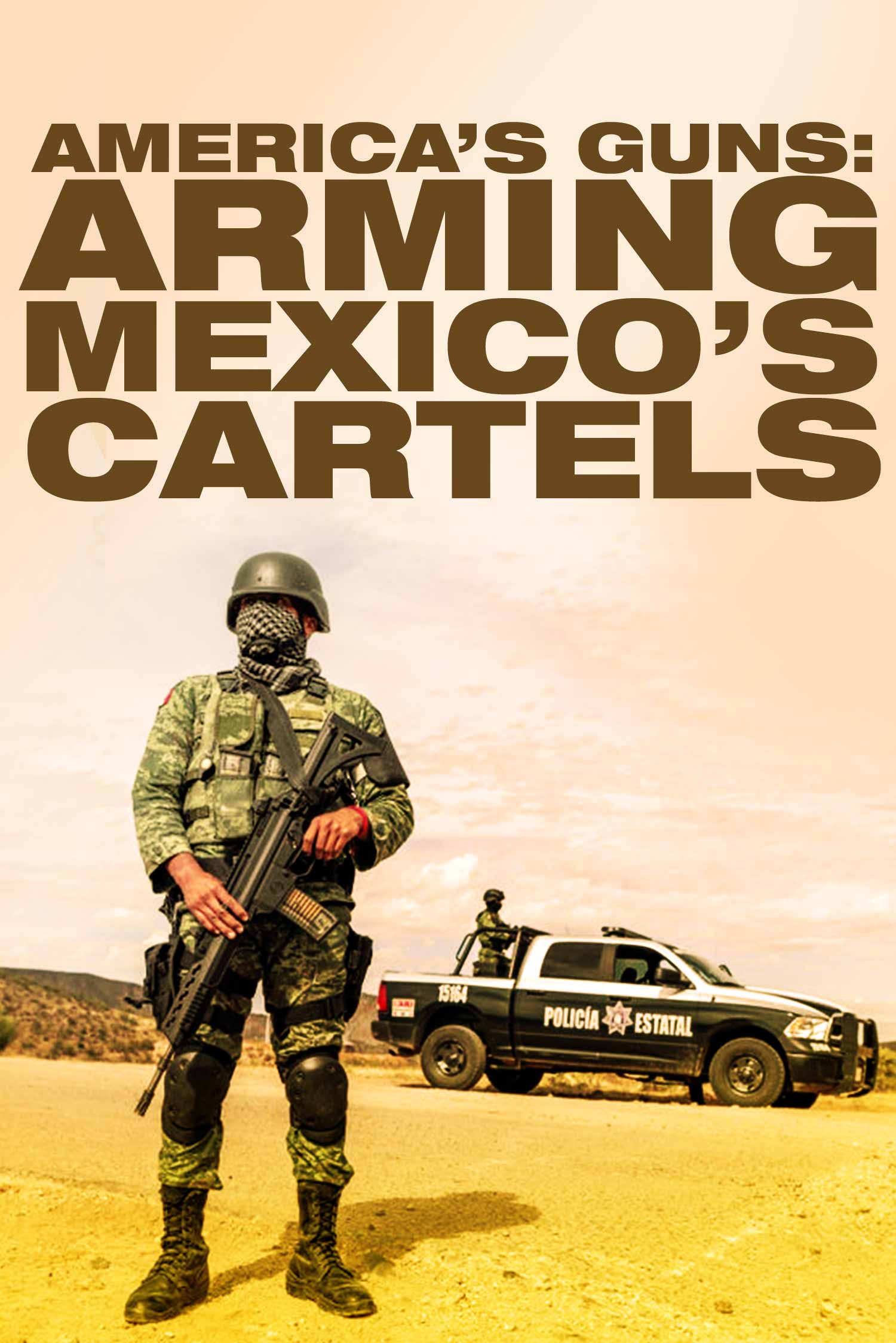 America's Guns: Arming Mexico's Cartels