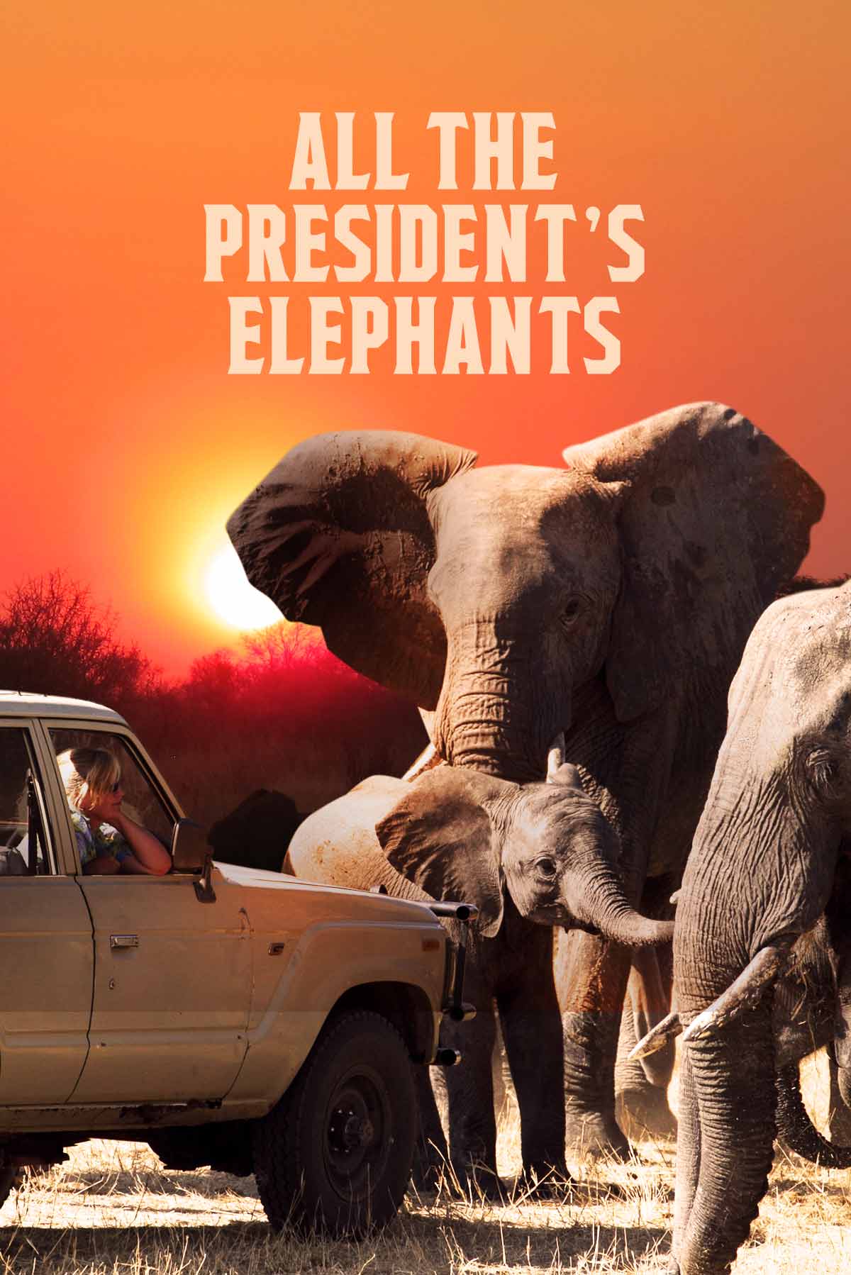 All The President's Elephants