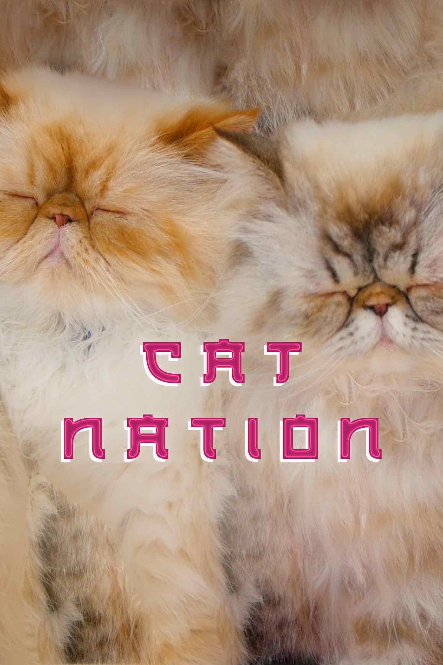 Cat Nation