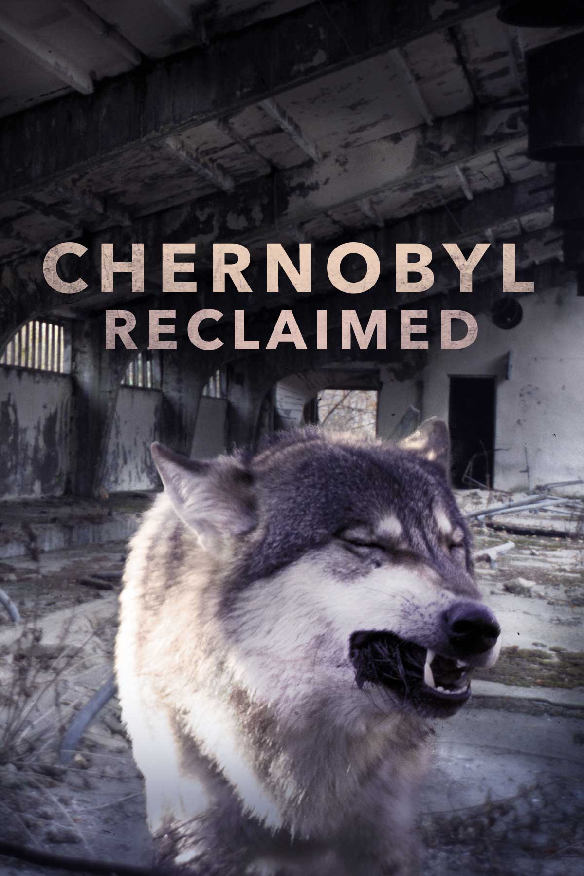 Chernobyl Reclaimed