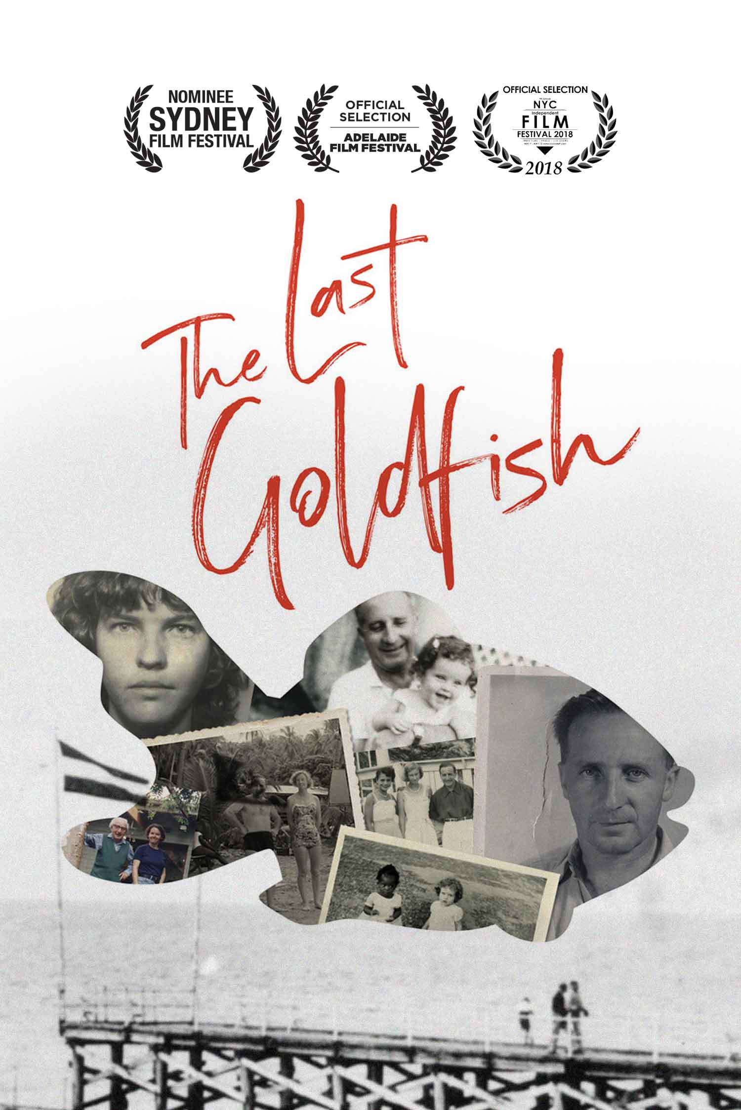 The Last Goldfish