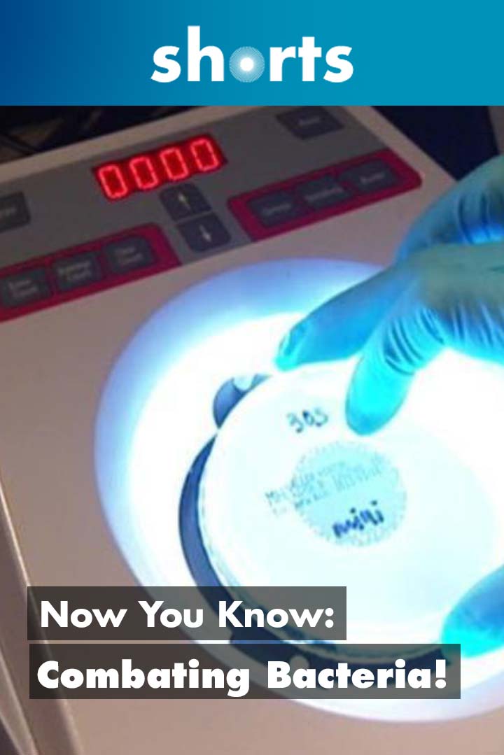 Watch Now You Know Combating Bacteria? Streaming Online iwonder